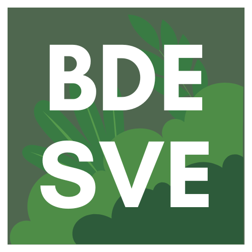 Logo BDE SVE